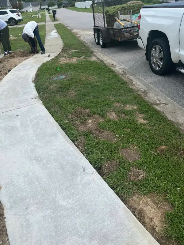 Professional Concrete Contractor